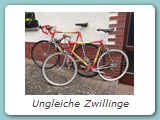 Ungleiche Zwillinge
HaMi 2029 Super Pro
hinten: Rahmenhöhe 63 cm, 28 Zoll
Eigentümer: Mario Conrad, Koblenz
vorne:  Rahmenhöhe 50 cm, 26 Zoll
Eigentümer: Johannes Mittendorf, Uetersen