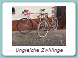 Ungleiche Zwillinge
HaMi 2029 Super Pro
hinten: Rahmenhöhe 63 cm, 28 Zoll
Eigentümer: Mario Conrad, Koblenz
vorne:  Rahmenhöhe 50 cm, 26 Zoll
Eigentümer: Johannes Mittendorf, Uetersen