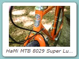 HaMi MTB 8029 Super Luxe
Ausstattung: Campagnolo Centaur, Laufräder mit Sturmey Archer Trommelbremsnaben
Eigentümer: Johannes Mittendorf, Uetersen 