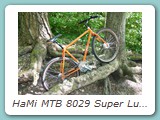 HaMi MTB 8029 Super Luxe
Ausstattung: Campagnolo Centaur, Laufräder mit Sturmey Archer Trommelbremsnaben
Eigentümer: Johannes Mittendorf, Uetersen 
